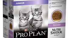 PURINA Pro Plan Nutrisavour Junior, Terină cu Curcan, hrană umedă pisici junior, (pate) PURINA Pro Plan Nutrisavour Junior, Terină cu Curcan, pachet economic plic hrană umedă pisici junior, (pate), 85g x 10