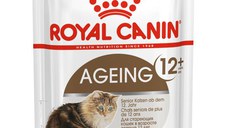 ROYAL CANIN Ageing 12+, hrană umedă pisici senior, (în sos), 85g