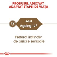 ROYAL CANIN Ageing 12+, hrană umedă pisici senior, (în sos), 85g - 7