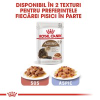 Royal Canin Ageing 12+, hrană umedă pisici senior, (în sos) Royal Canin Ageing 12+, plic hrană umedă pisici senior, (în sos), 85g - 6