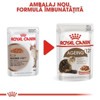 Royal Canin Ageing 12+, hrană umedă pisici senior, (în sos) Royal Canin Ageing 12+, plic hrană umedă pisici senior, (în sos), 85g - 3