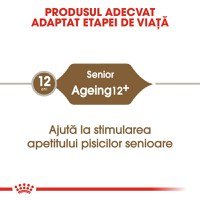 ROYAL CANIN Ageing 12+, hrană uscată pisici senior, 2kg - 9