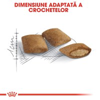 ROYAL CANIN Ageing 12+, hrană uscată pisici senior, 2kg - 5