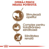 ROYAL CANIN Ageing 12+, hrană uscată pisici senior, 400g - 4