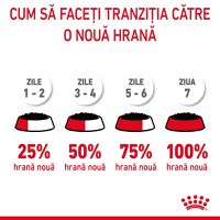 ROYAL CANIN Appetite Control Care, hrană umedă pisici, adult sterilizat, reglarea apetitului, (în sos) ROYAL CANIN Feline Care Nutrition Appetite Control Care, plic hrană umedă pisici, managementul greutății, (în sos), 85g x 12 - 6