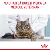 ROYAL CANIN Appetite Control Care, hrană umedă pisici, adult sterilizat, reglarea apetitului, (în sos) ROYAL CANIN Feline Care Nutrition Appetite Control Care, plic hrană umedă pisici, managementul greutății, (în sos), 85g x 12 - 8