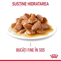 ROYAL CANIN Appetite Control Care, hrană umedă pisici, adult sterilizat, reglarea apetitului, (în sos) ROYAL CANIN Feline Care Nutrition Appetite Control Care, plic hrană umedă pisici, managementul greutății, (în sos), 85g x 12 - 11