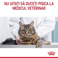 Royal Canin Appetite Control Care, hrană uscată pisici, adult sterilizat, reglarea apetitului ROYAL CANIN Feline Care Nutrition Appetite Control Care, hrană uscată pisici, managementul greutății, 400g - 10