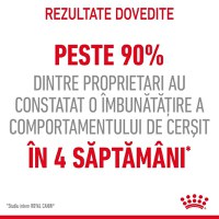 Royal Canin Appetite Control Care, hrană uscată pisici, adult sterilizat, reglarea apetitului ROYAL CANIN Feline Care Nutrition Appetite Control Care, hrană uscată pisici, managementul greutății, 400g - 6