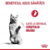 Royal Canin Appetite Control Care, hrană uscată pisici, adult sterilizat, reglarea apetitului ROYAL CANIN Feline Care Nutrition Appetite Control Care, hrană uscată pisici, managementul greutății, 400g - 7