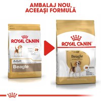 Royal Canin Beagle Adult, hrană uscată câini, 3kg - 8