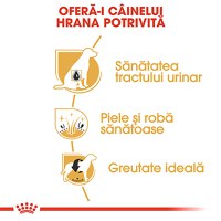 ROYAL CANIN Bichon Frise Adult, hrană uscată câini, 1.5kg - 5