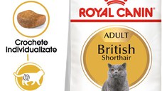 ROYAL CANIN British Shorthair Adult, hrană uscată pisici, 10kg