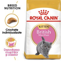 ROYAL CANIN British Shorthair Kitten, hrană uscată pisici junior, 2kg - 1