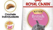 ROYAL CANIN British Shorthair Kitten, hrană uscată pisici junior, 2kg