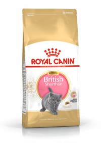 ROYAL CANIN British Shorthair Kitten, hrană uscată pisici junior, 2kg - 3