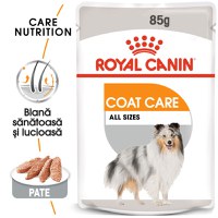 ROYAL CANIN Coat Care Adult, hrană umedă câini, blană sănătoasă și lucioasă, (pate), 85g - 1