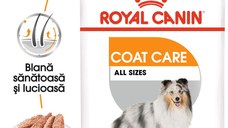 ROYAL CANIN Coat Care Adult, hrană umedă câini, blană sănătoasă și lucioasă, (pate), 85g