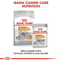 ROYAL CANIN Coat Care Adult, hrană umedă câini, blană sănătoasă și lucioasă, (pate), 85g - 9