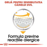 ROYAL CANIN Dermacomfort Adult, hrană umedă câini, prevenirea iritațiilor pielii, (pate), 85g - 5