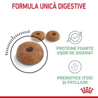 ROYAL CANIN Digestive Care Adult, hrană uscată pisici, confort digestiv, 10kg - 4