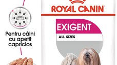 ROYAL CANIN Exigent Adult hrană umedă câini apetit capricios (pate), 85g