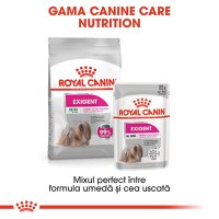 ROYAL CANIN Exigent Adult hrană umedă câini apetit capricios (pate), 85g - 9