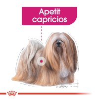 ROYAL CANIN Exigent Adult hrană umedă câini apetit capricios (pate), 85g - 4