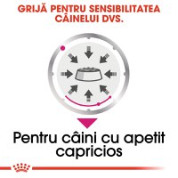 ROYAL CANIN Exigent Adult hrană umedă câini apetit capricios (pate), 85g - 5