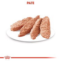 ROYAL CANIN Exigent Adult hrană umedă câini apetit capricios (pate), 85g - 6