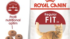 ROYAL CANIN Fit32 Adult, hrană uscată pisici, activitate fizică moderată, 400g