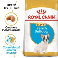 Royal Canin French Bulldog Puppy, hrană uscată câini junior, 3kg - 1