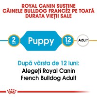 Royal Canin French Bulldog Puppy, hrană uscată câini junior, 3kg - 6