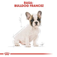 Royal Canin French Bulldog Puppy, hrană uscată câini junior, 3kg - 4