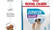 ROYAL CANIN Giant Junior, hrană uscată câini junior, etapa 2 de creștere, 15kg