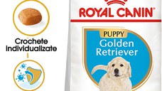 ROYAL CANIN Golden Retriever Puppy, hrană uscată câini junior, 1kg