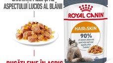 ROYAL CANIN Hair&Skin Care Adult hrană umedă pisici piele & blană (în aspic), 85g