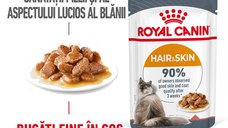 ROYAL CANIN Hair & Skin Care Adult, hrană umedă pisici, piele & blană, (în sos), 85g