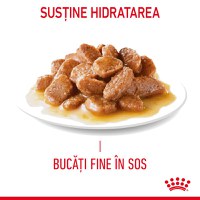 ROYAL CANIN Hair & Skin Care Adult, hrană umedă pisici, piele & blană, (în sos), 85g - 4