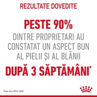 Royal Canin Hair & Skin Care Adult, hrană uscată pisici, piele și blană ROYAL CANIN Feline Care Nutrition Hair&Skin Care, hrană uscată pisici, piele și blană, 10kg - 3