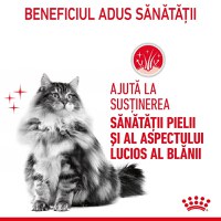 Royal Canin Hair & Skin Care Adult, hrană uscată pisici, piele și blană ROYAL CANIN Feline Care Nutrition Hair&Skin Care, hrană uscată pisici, piele și blană, 10kg - 8