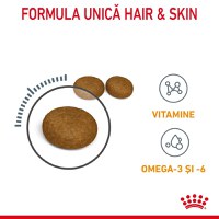 Royal Canin Hair & Skin Care Adult, hrană uscată pisici, piele și blană ROYAL CANIN Feline Care Nutrition Hair&Skin Care, hrană uscată pisici, piele și blană, 10kg - 7