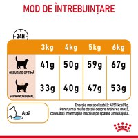 Royal Canin Hair & Skin Care Adult, hrană uscată pisici, piele și blană ROYAL CANIN Feline Care Nutrition Hair&Skin Care, hrană uscată pisici, piele și blană, 10kg - 10