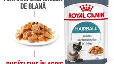 ROYAL CANIN Hairball Care Adult hrană umedă pisici limitarea ghemurilor de blană (în aspic), 85g