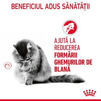 Royal Canin Hairball Care Adult, hrană uscată pisici, limitarea ghemurilor de blană ROYAL CANIN Feline Care Nutrition Hairball Care, hrană uscată pisici, limitarea ghemurilor de blană, 400g - 10