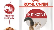 Royal Canin Instinctive Adult, hrană umedă pisici, (în aspic) Royal Canin Instinctive Adult, plic hrană umedă pisici, (în aspic), 85g