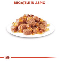 Royal Canin Instinctive Adult, hrană umedă pisici, (în aspic) Royal Canin Instinctive Adult, plic hrană umedă pisici, (în aspic), 85g - 8