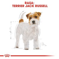 ROYAL CANIN Jack Russell Adult, hrană uscată câini, 1.5kg - 3