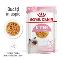 ROYAL CANIN Kitten, hrană umedă pisici, (în aspic), 85g - 1