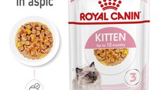 ROYAL CANIN Kitten, hrană umedă pisici, (în aspic), 85g